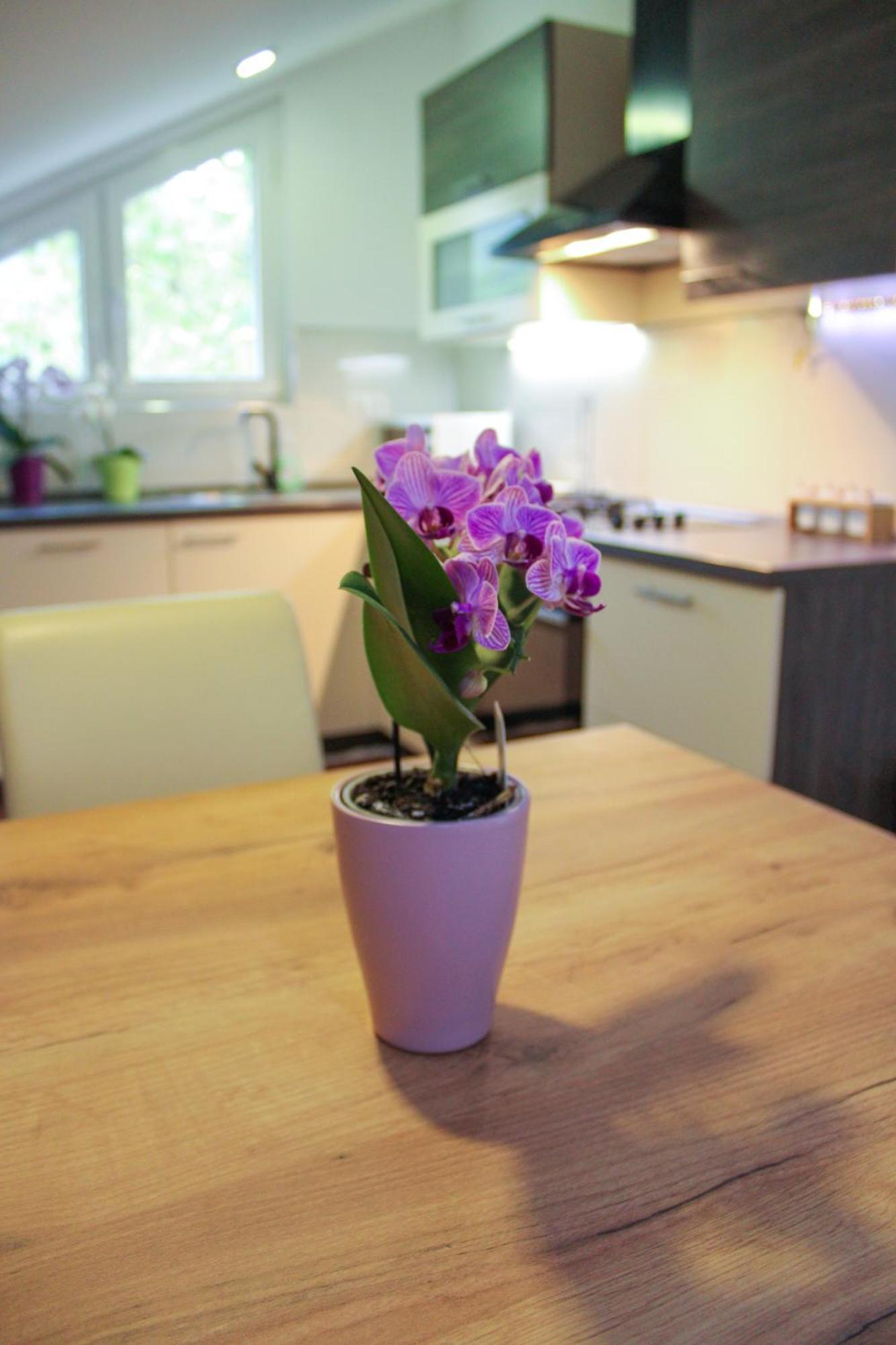Apartman Nadja&Dani Kulen Vakuf Ngoại thất bức ảnh