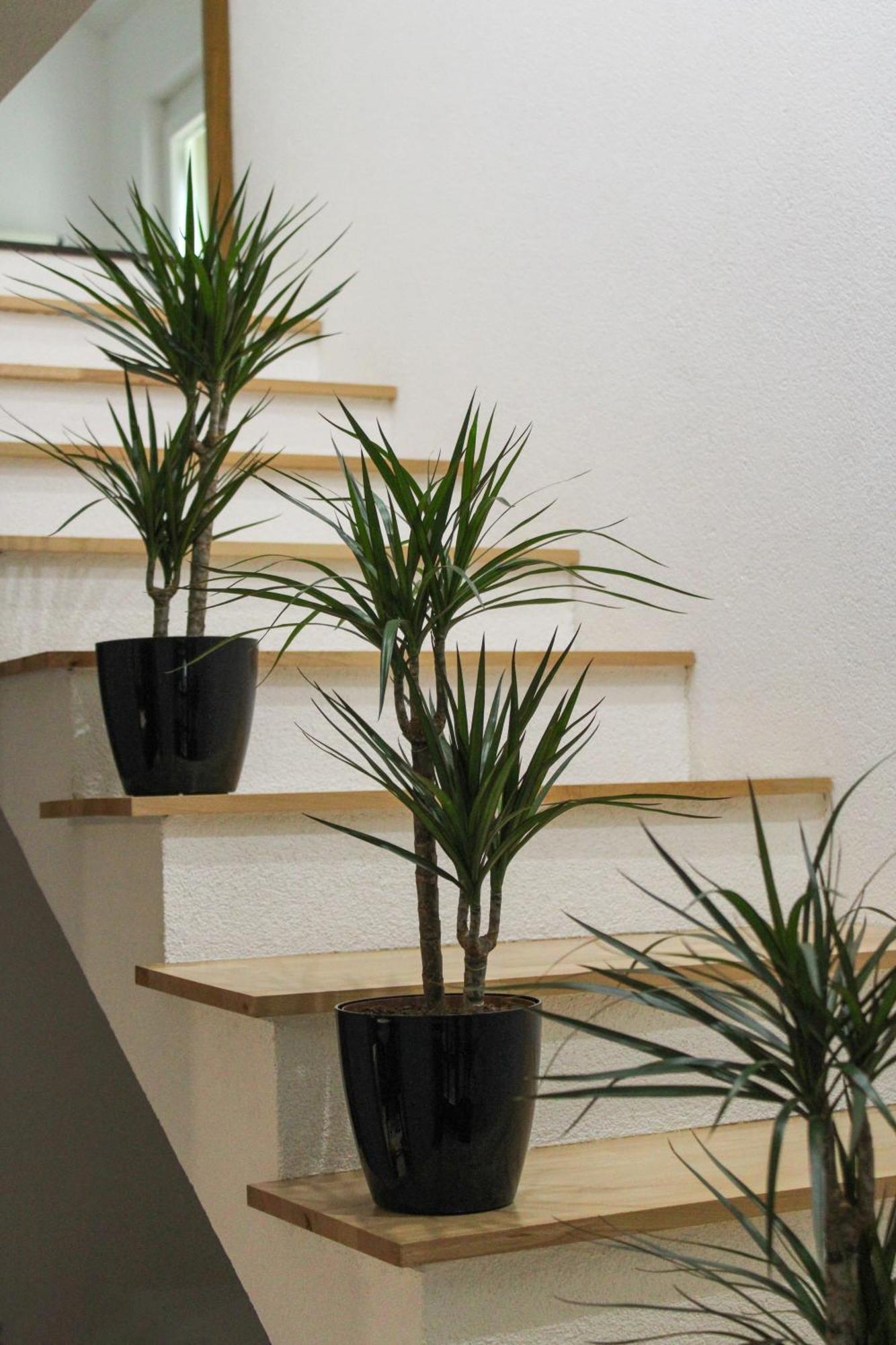 Apartman Nadja&Dani Kulen Vakuf Ngoại thất bức ảnh
